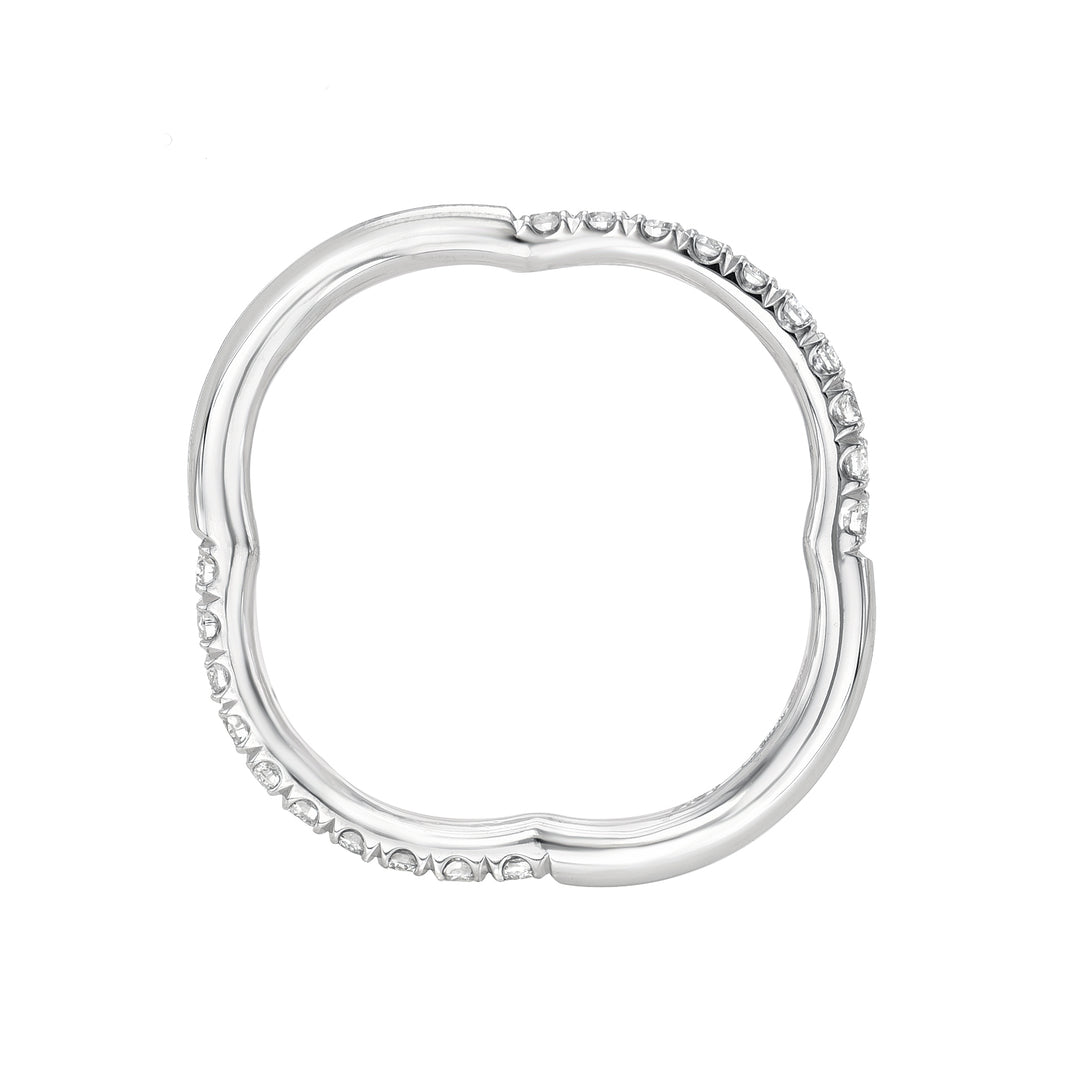 Edward Avedis Astra Oui