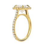 Load image into Gallery viewer, Rosie