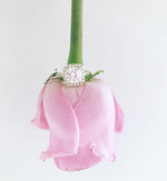 Load image into Gallery viewer, Rosie