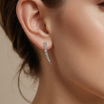 Load image into Gallery viewer, Rondell Pave Cluster Earring
